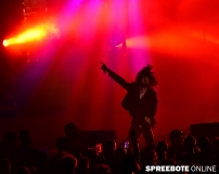 spreebote-Parkbühne-Forced-to-Mode-20