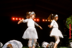 Friedens-Heimattiergartenfest-8