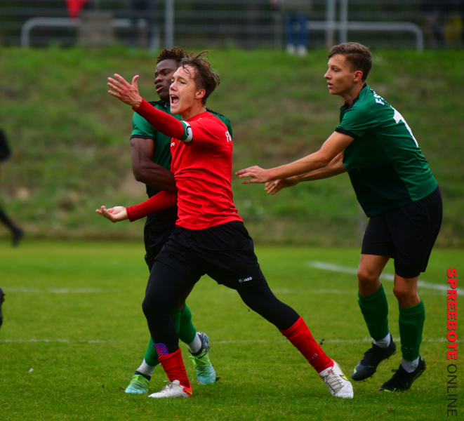 FSV-B-Junioren-FSV-Babelsberg-74-15