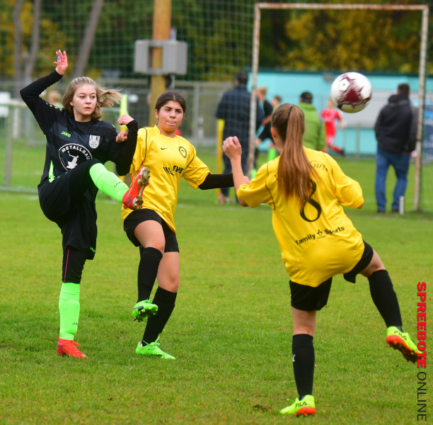 FSV-B-Juniorinnen-HSV-Fortuna-Friedersdorf-Gussow-11