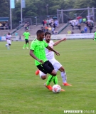 spreebote-FSV-BAK-431