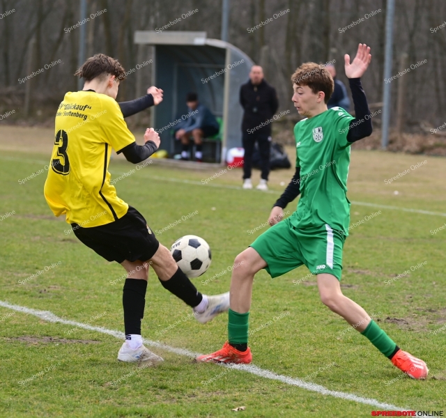 FSV-C-FSV-Brieske-Senftenberg-004