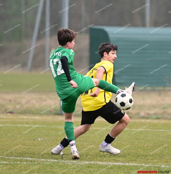 FSV-C-FSV-Brieske-Senftenberg-017