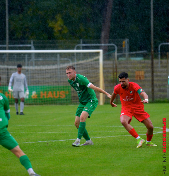 FSV-CFC-Hertha-06-10