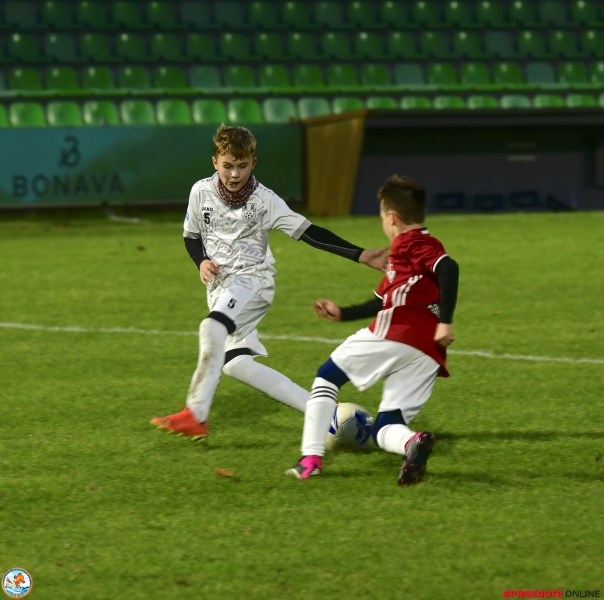 FSV-D-1.FC-Frankfurt-006