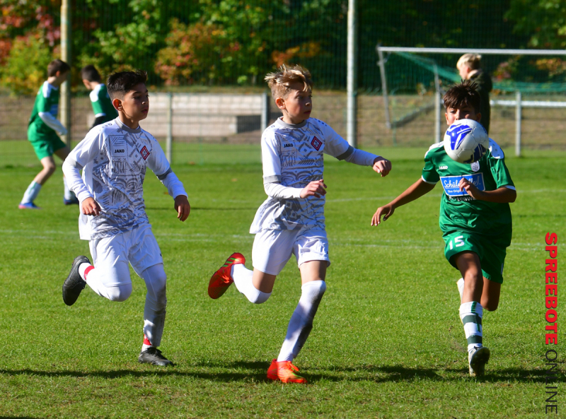 FSV-D-Junioren-Neuenhagen-05