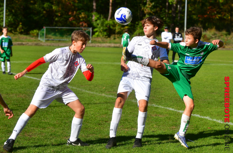 FSV-D-Junioren-Neuenhagen-13