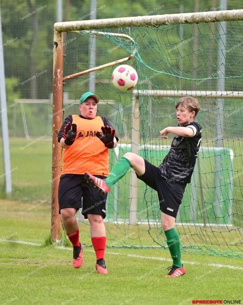 FSV-Frauen-Ahrensfelde-009