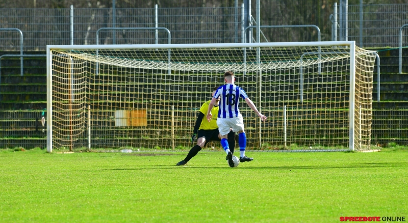 FSV-II-Blau-weiss-Briesen-003