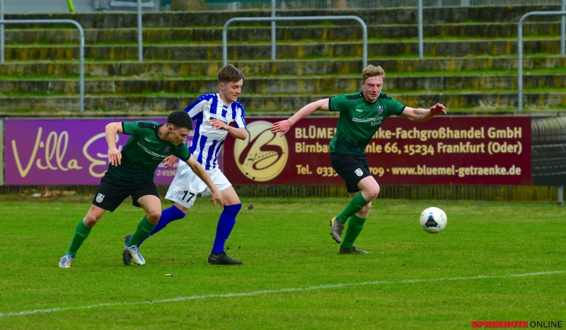 FSV-II-Blau-weiss-Briesen-020