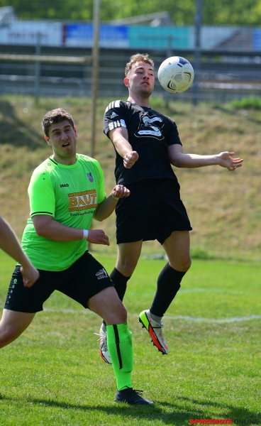 FSV-III-Mullroser-SV-II-003