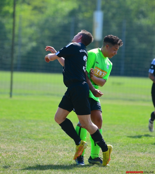 FSV-III-Mullroser-SV-II-006