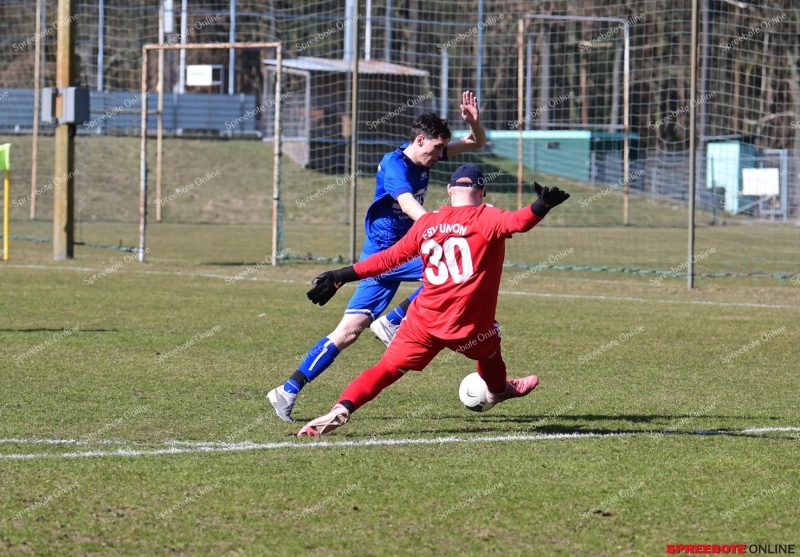 FSV-III-Pneumant-II-011