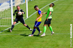 FSV-Luckenwalde-Pokal-710