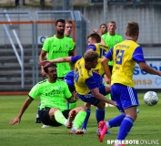 spreebote-Pokalhalbinale-Luckenwalde-FSV-288