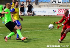 spreebote-Pokalhalbinale-Luckenwalde-FSV-608