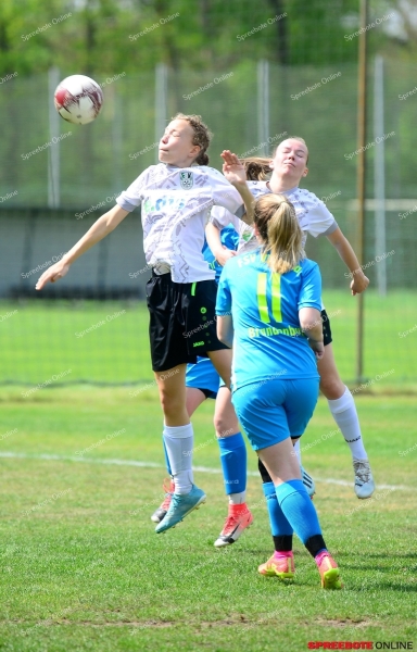 FSV-Madchen-FSV-Victoria-Brandenburg-004