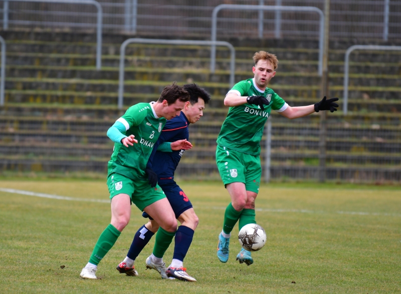 FSV-Mecklenburg-Schwerin-17