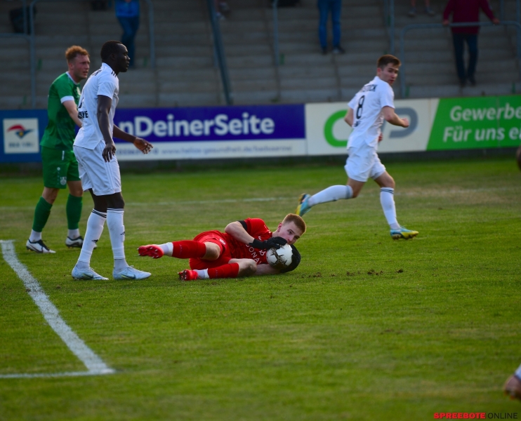 FSV-Rostocker-FC-034