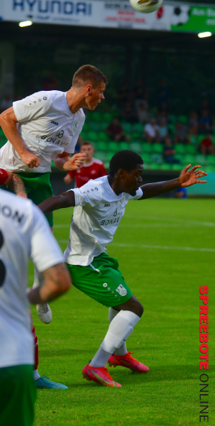 FSV-TSG-Neustrelitz-10