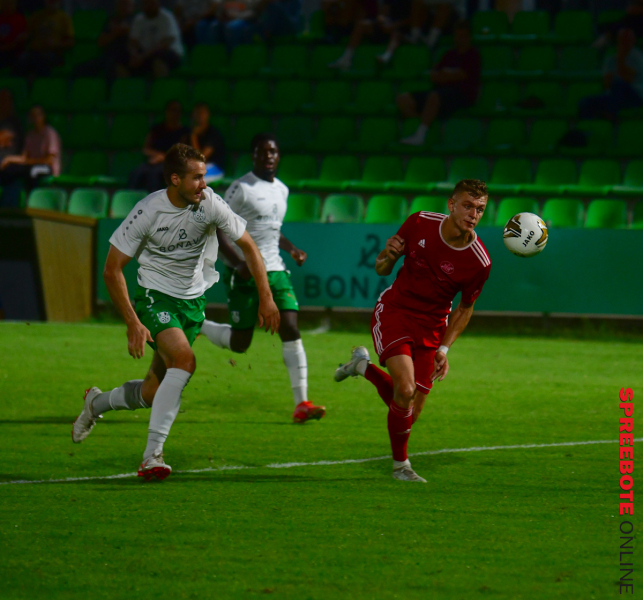 FSV-TSG-Neustrelitz-32