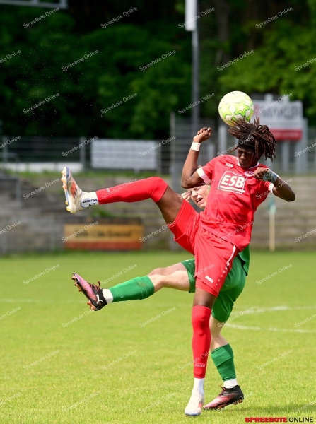FSV-Union-Brandenburger-SC-Sud-018