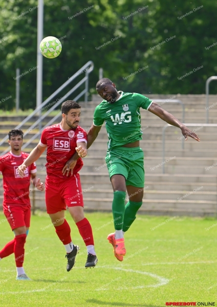 FSV-Union-Brandenburger-SC-Sud-029