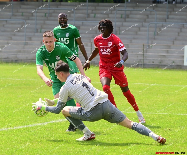 FSV-Union-Brandenburger-SC-Sud-031