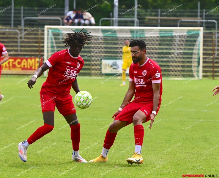 FSV-Union-Brandenburger-SC-Sud-033