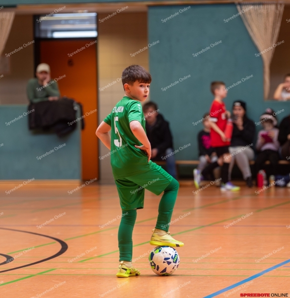 Spreebote-FSV-Union-E2-RG-Dach-Holzbau-001