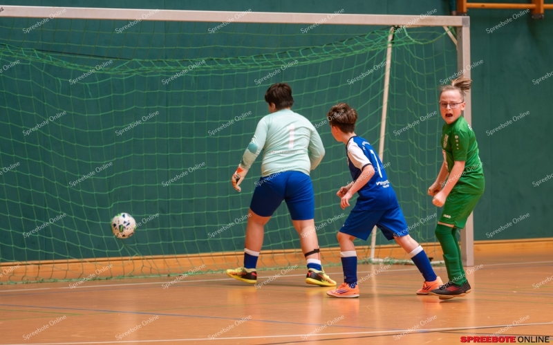 Spreebote-FSV-Union-E2-RG-Dach-Holzbau-003