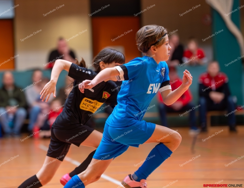 Spreebote-FSV-Union-E2-RG-Dach-Holzbau-010