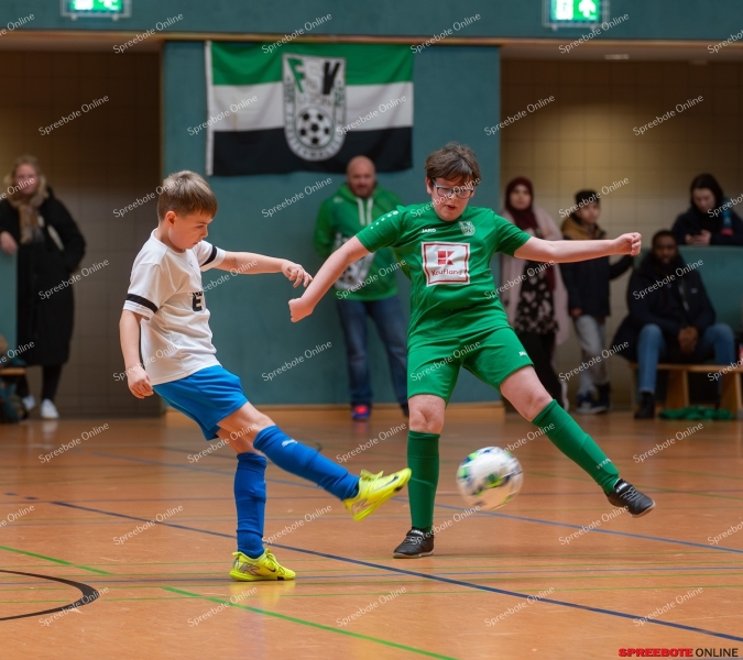 Spreebote-FSV-Union-E2-RG-Dach-Holzbau-021