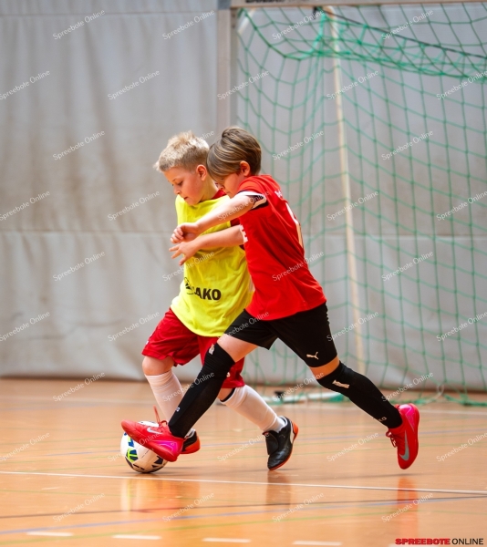 Spreebote-FSV-Union-E2-RG-Dach-Holzbau-030