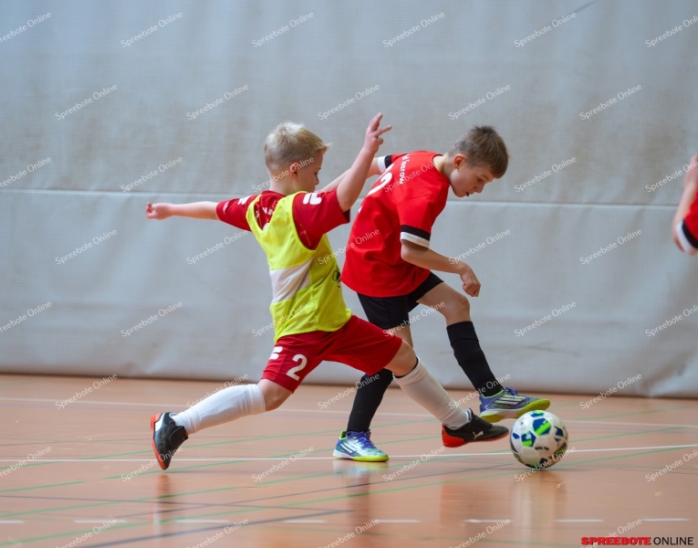 Spreebote-FSV-Union-E2-RG-Dach-Holzbau-032