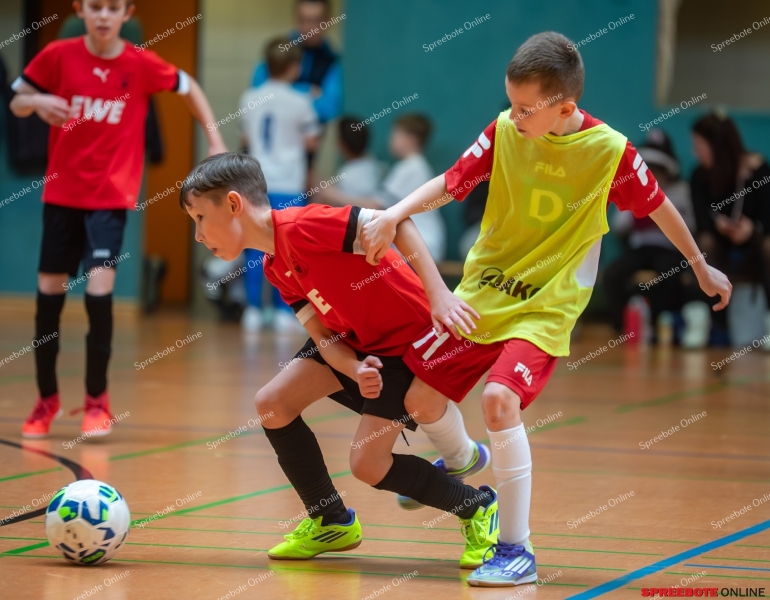 Spreebote-FSV-Union-E2-RG-Dach-Holzbau-033