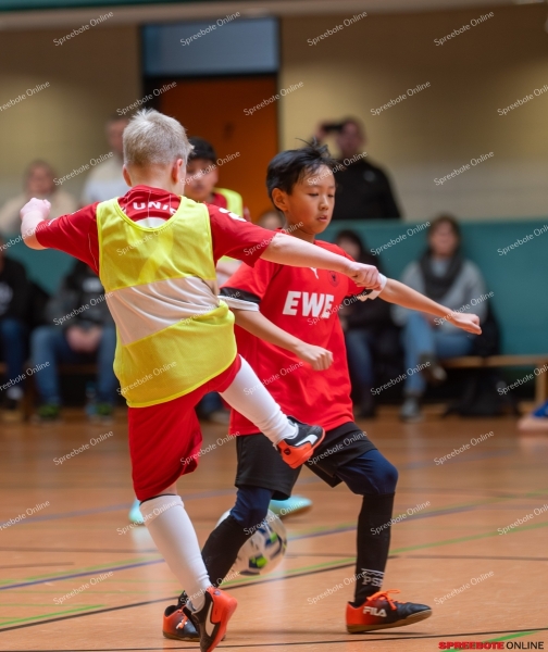 Spreebote-FSV-Union-E2-RG-Dach-Holzbau-034