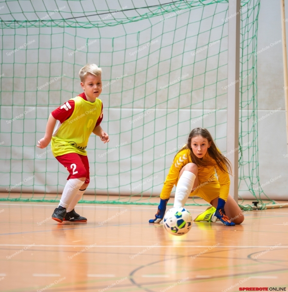 Spreebote-FSV-Union-E2-RG-Dach-Holzbau-037