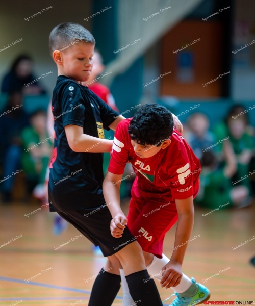 Spreebote-FSV-Union-E2-RG-Dach-Holzbau-042