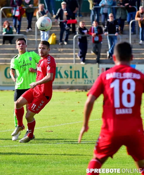 FSV-Babelsberg-20