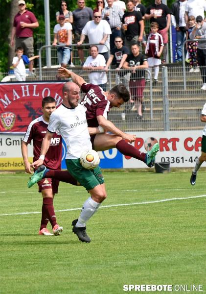 FSV-BFC-13