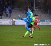 spreebote-FSV-Cottbus-1303