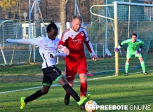 FSV-II-Hohenleipisch-13