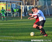 FSV-II-Hohenleipisch-14