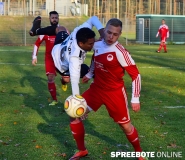 FSV-II-Hohenleipisch-17