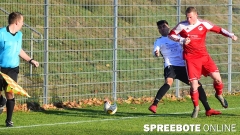 FSV-II-Hohenleipisch-2