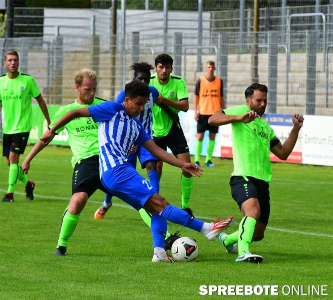 FSV-Neugersdorf-20