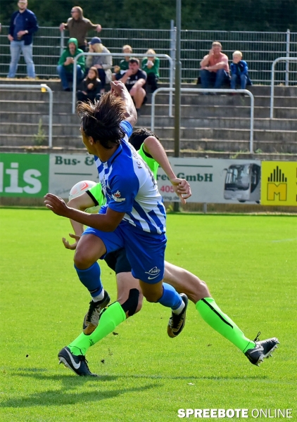 FSV-Neugersdorf-5