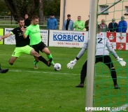 spreebote-Pokal-Einheit-Zepernick-FSV-338