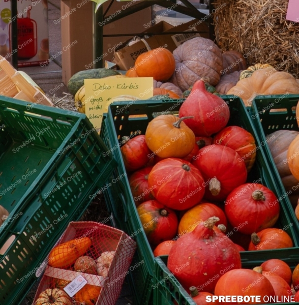 Spreebote-Furstenwalde-feiert-sein-Erntefest_gallery1_02